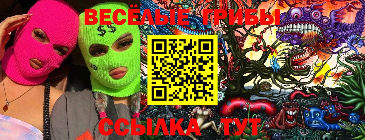 Псилоцибиновые грибы Psilocybine cubensis  Псилоцибиновые грибы Psilocybine cubensis  Конаково  Вход с VPN 