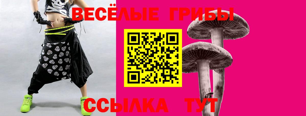 Псилоцибиновые грибы Psilocybine cubensis Конаково